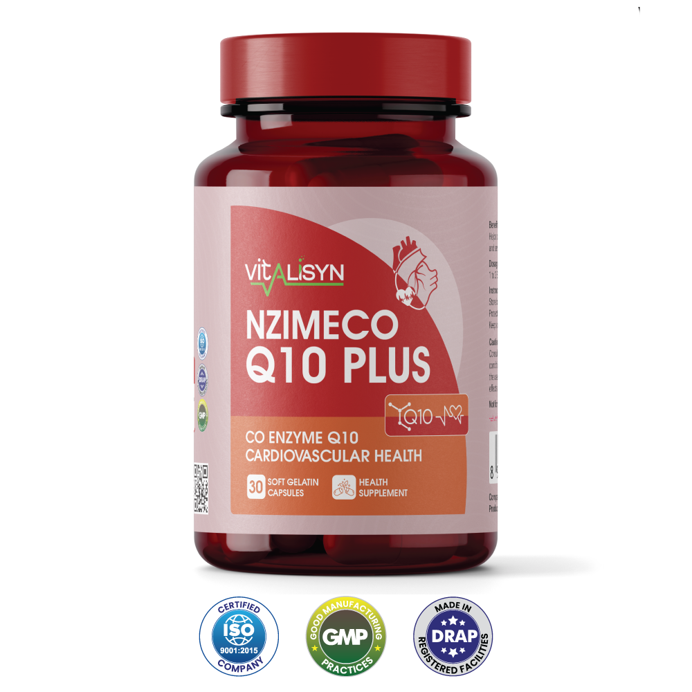 NZIMECO Q10 PLUS