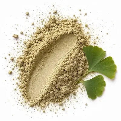 GINKGO BILOBA