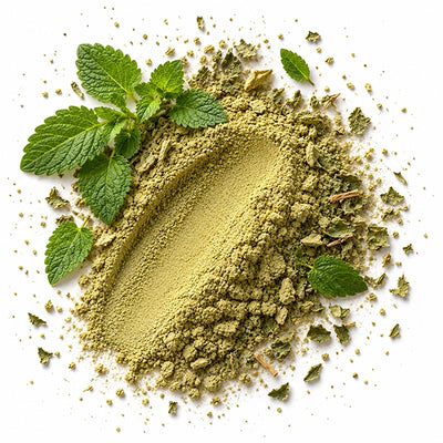 Lemon Balm Extract
